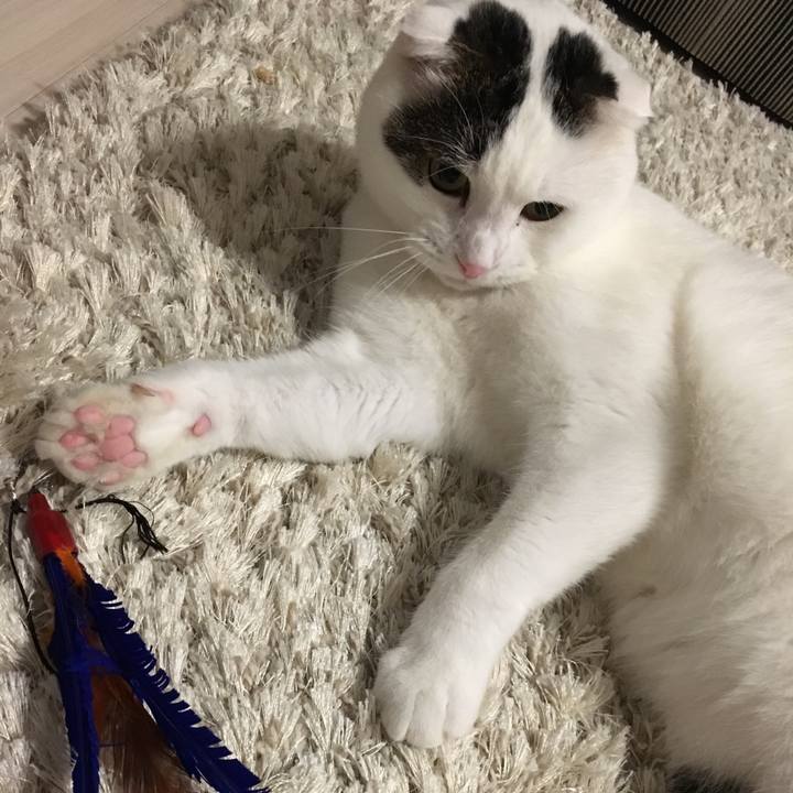 0659c0f2 4125 4691 8d16 fc1d68e01720