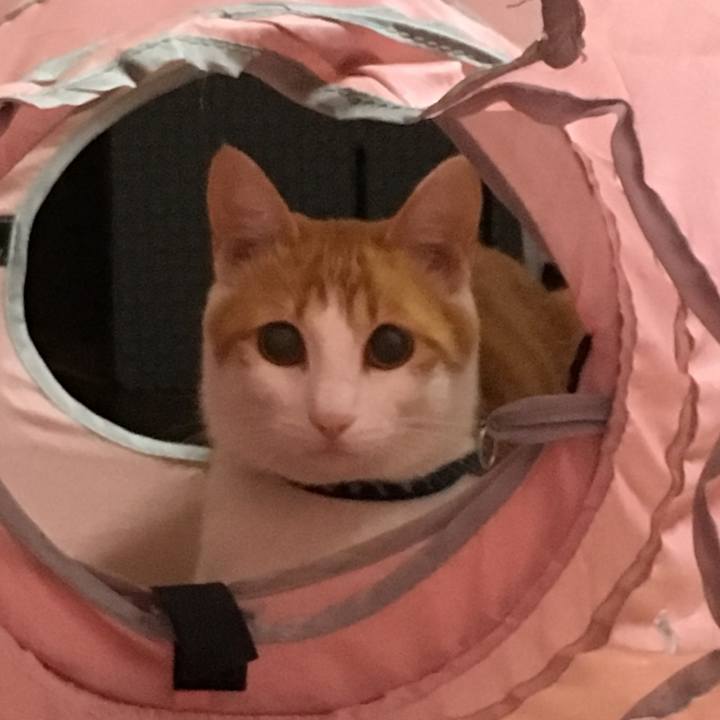 065ac058 b90d 43ba 8fa7 6f2aa76997ca