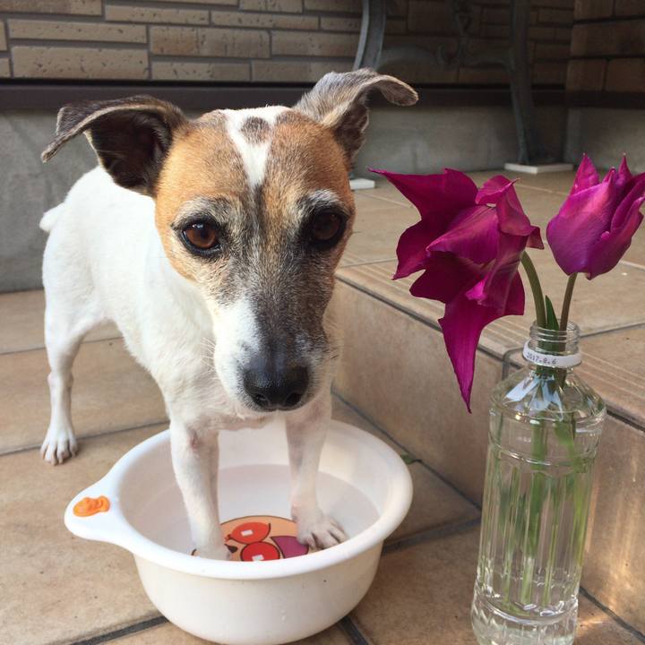 065af918 d7f3 4337 99dc bedeaec70027