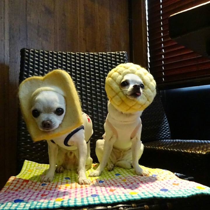 065b4428 d070 4ad3 88ca 926cfcc161b8