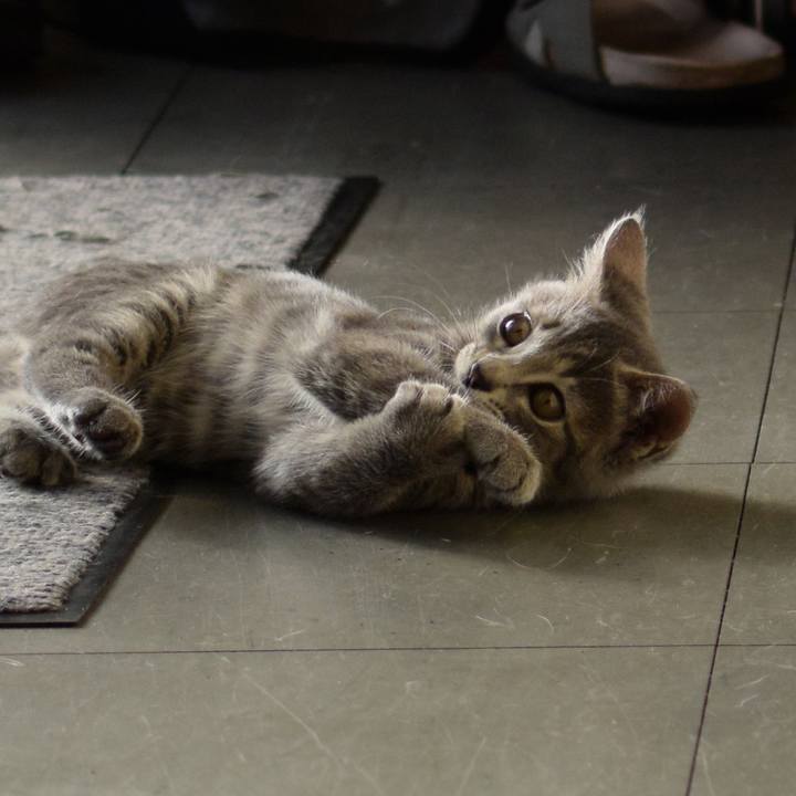 065b69c0 f750 4c78 8442 8fbbad016015