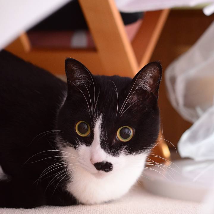 065c202d 1d15 48e8 b472 3486560477b8