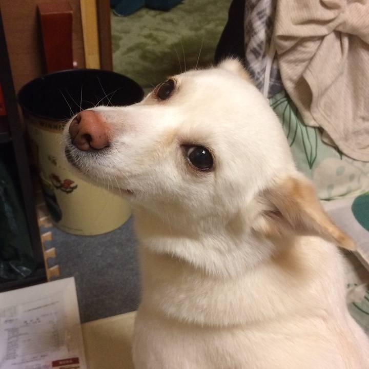 065c4065 0d9a 4016 b4da 6aca500c8820