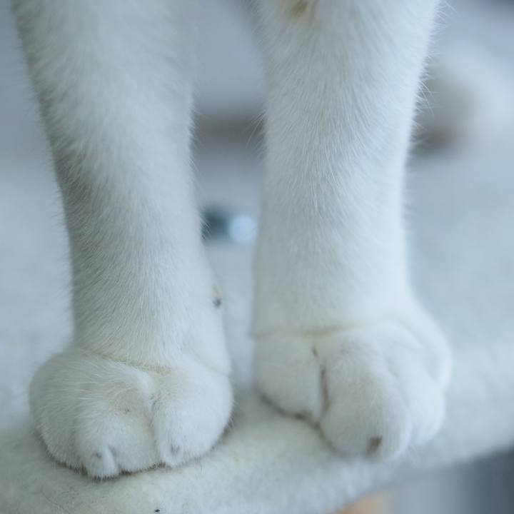 065c6543 efa1 4824 a559 f8ee0fe3f074