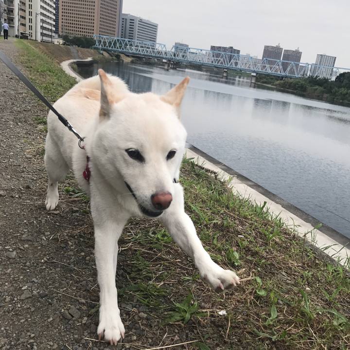 065d8fa3 6a76 460b bbe0 1691af3d87aa