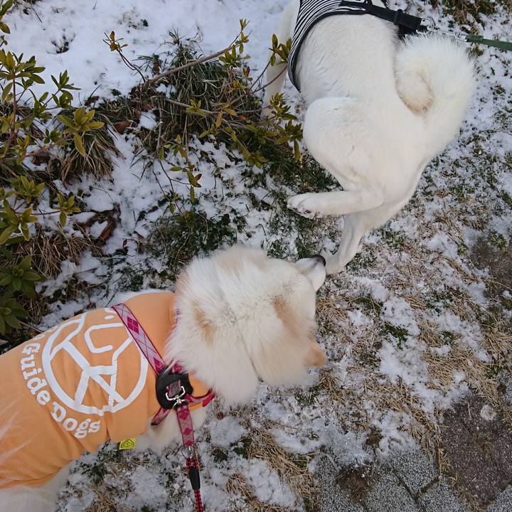 065de5c4 2512 4f44 b47b 7aff3edb8cc0