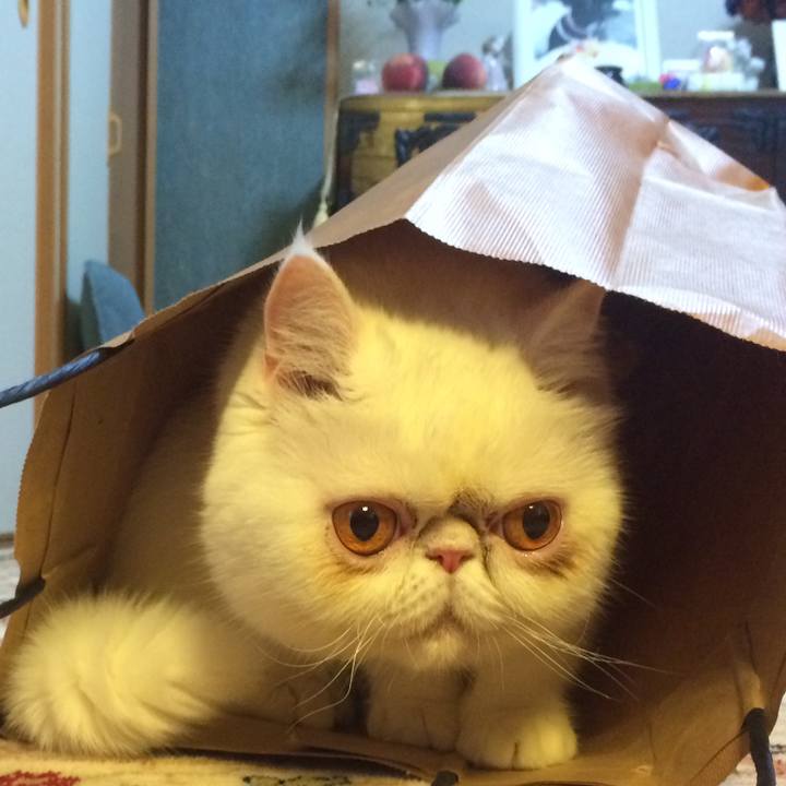 065fd3e3 ba91 49de b84b a2d3efaf7dbd