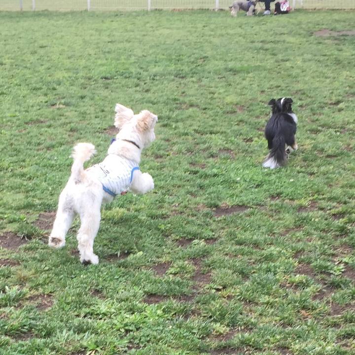 0660041e 7f10 4031 bb06 c06e7633e38c