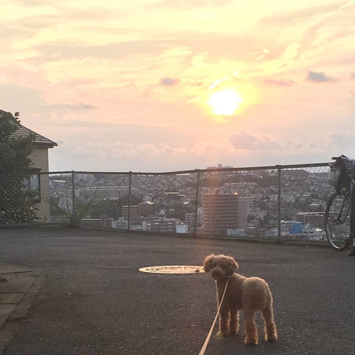 066146c9 f763 4843 a914 f8a42c7cd67a