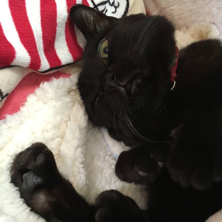 0661499d ea50 44e0 ba4b 84688cd0e8e4