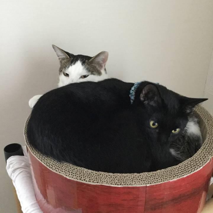 066181dd 8bf9 4db3 83b2 a45d42f9b459