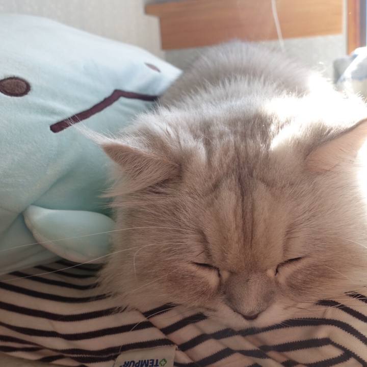 0661bfcc e350 4e5d 9768 ff1c213e1fad