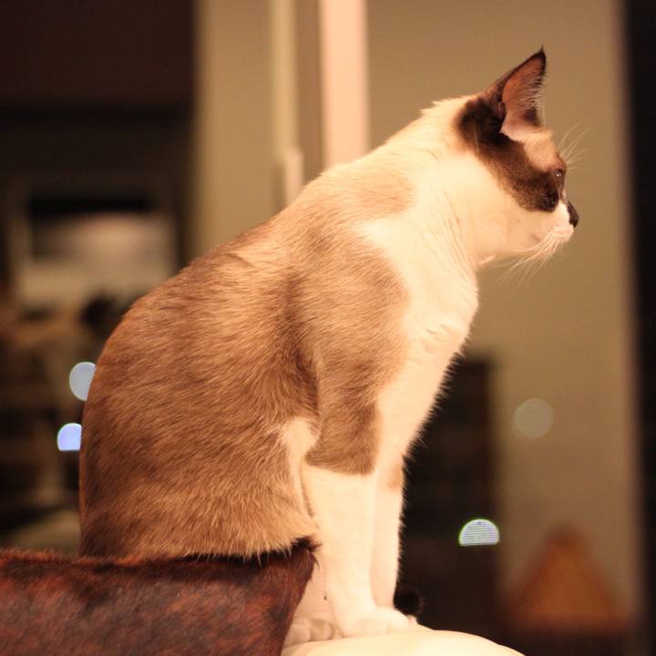 066227b8 745f 49a0 9c9b 460d35d6bbda