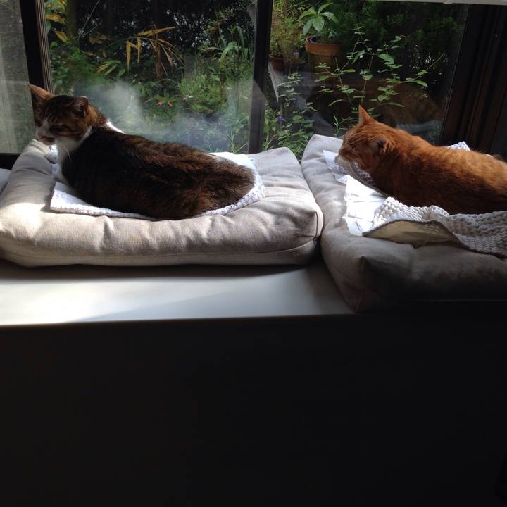 0662356f 947a 4439 acb7 a1a1111661c7