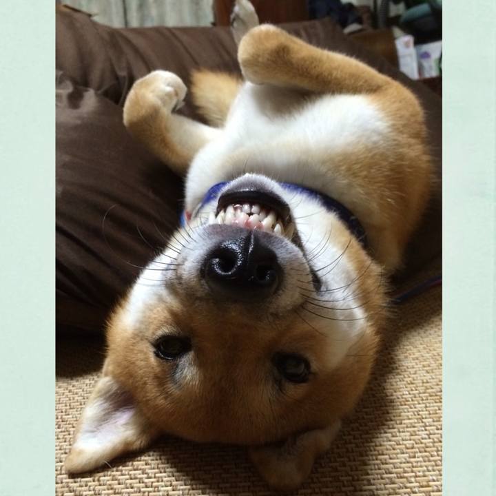 06628133 4ae9 48e8 a0f5 e06b85ebca0b