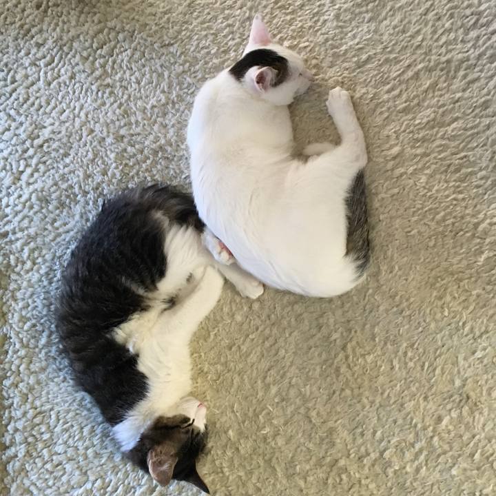 06628cfc e16c 49fb 8769 19a4ad8d9876