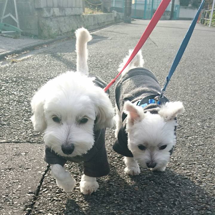 06636f0e 0745 4ff3 83aa 006484575206