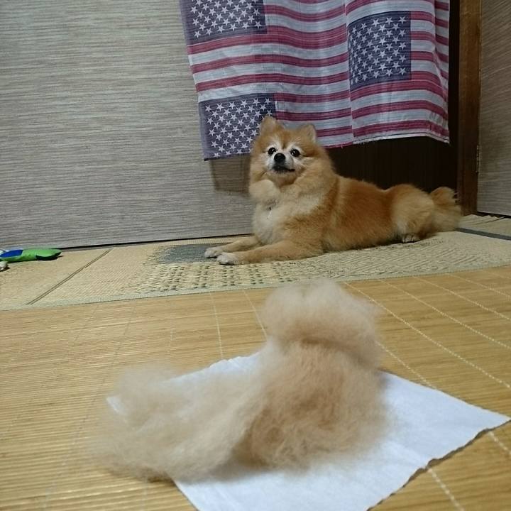 0663e3e8 d5d2 457a 9d34 1409b8c097eb