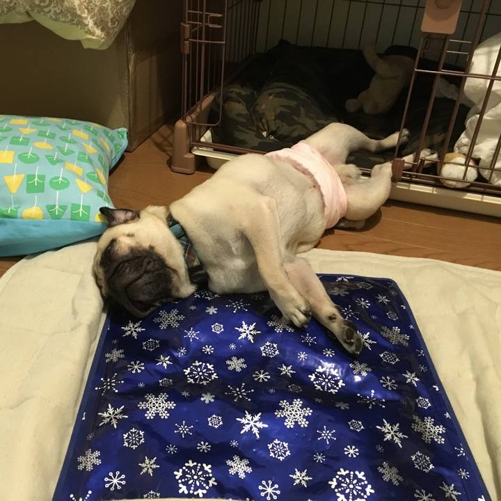 0665373e 1b5a 48fe af50 798d92606898