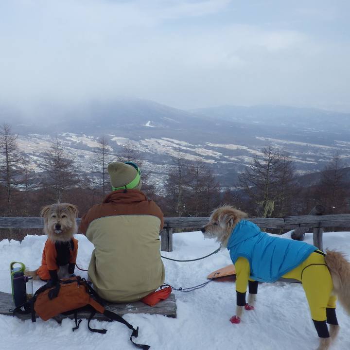 0665f01b 6645 4c0c 875f 91959db4fccf