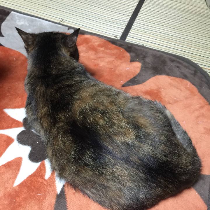 06662449 db63 49cf 8dc1 6d7ee85377e3