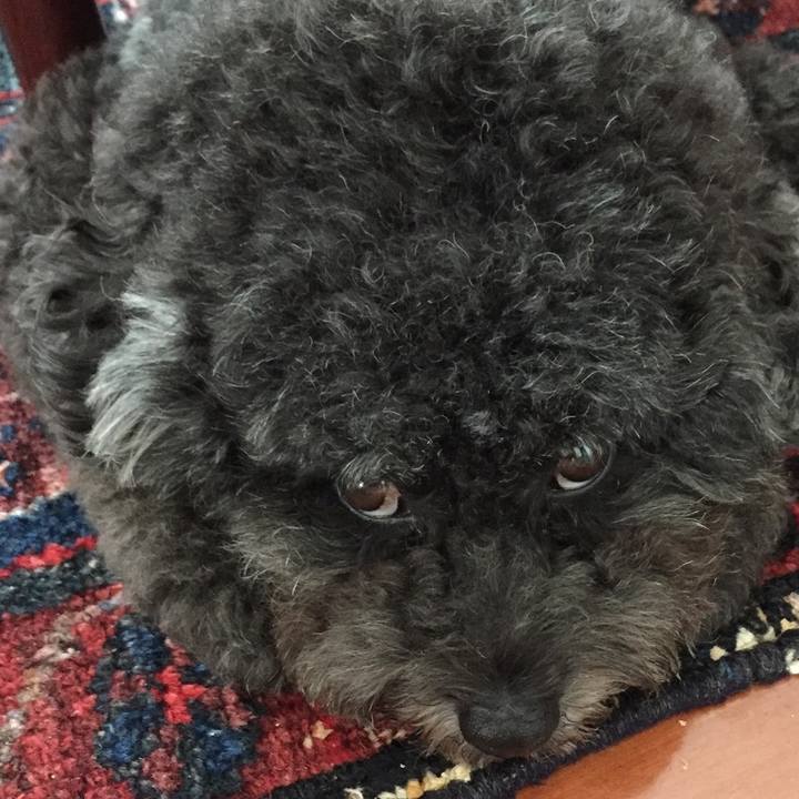 066670cb ad4a 45c0 bad7 2164ffdd757f