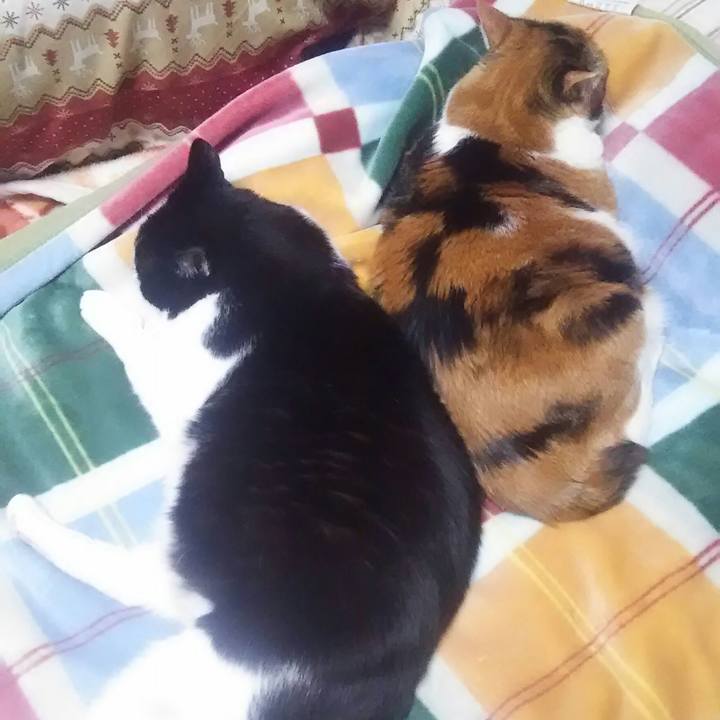 06676f1d 4bd2 4a6c 99bf c30aced73946