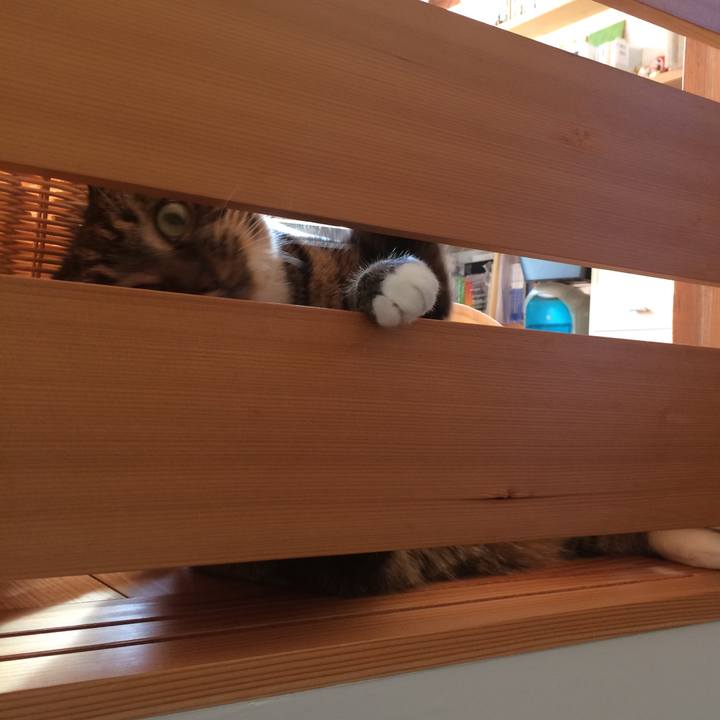 06684d4c b1bb 4678 a5f0 7ddcb670f3b7