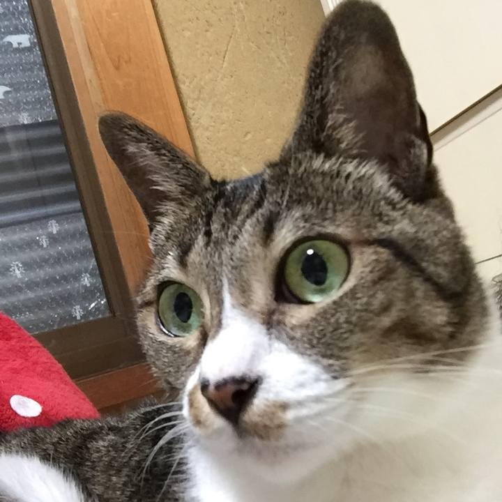 06685621 0ef6 4ea1 bbcc bd418b7f8f2e