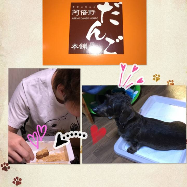 06688ae9 d7e1 4146 9e58 09799328baa9