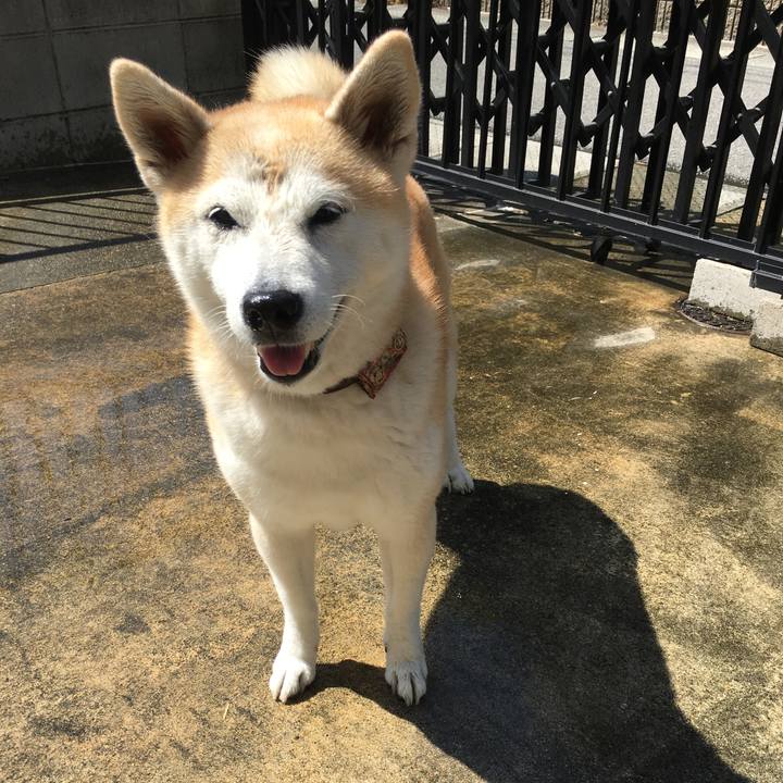 0668d6a4 6eeb 4e68 a3aa 112bb3633dfc