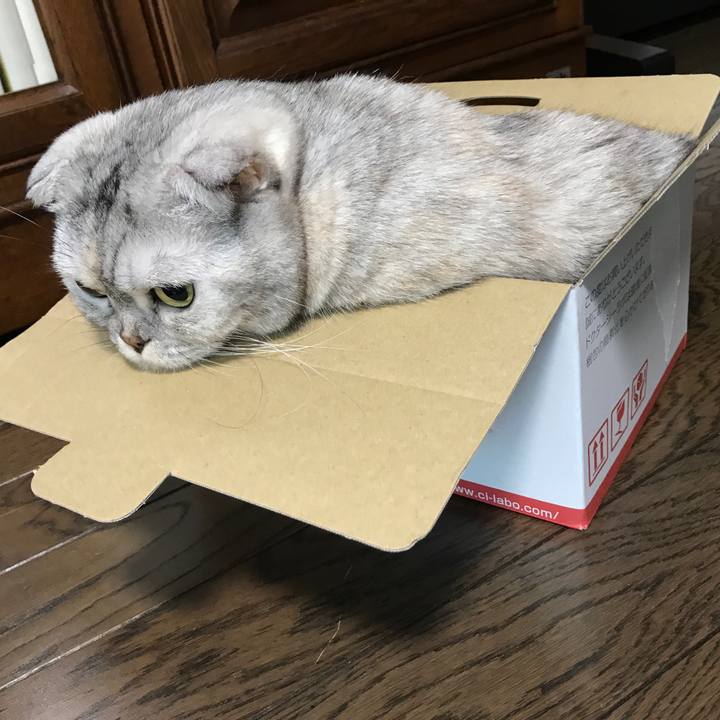 0668e75a fe40 4092 bdaa a4b090a2e088