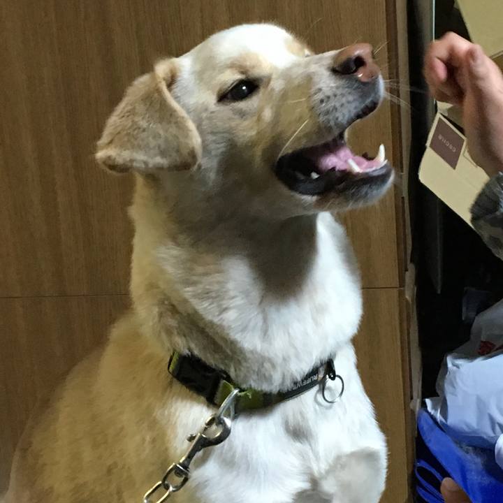 0669388c 7f7c 48ce bad5 452b681fdd14