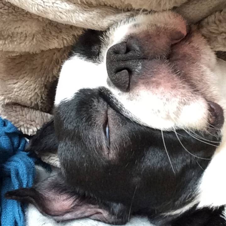 066aa62d feb6 4b48 9941 95dd81185909