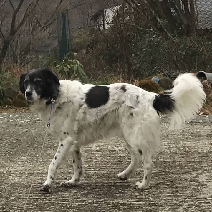 066b8edf d18c 45e9 9d37 e45c25303c06