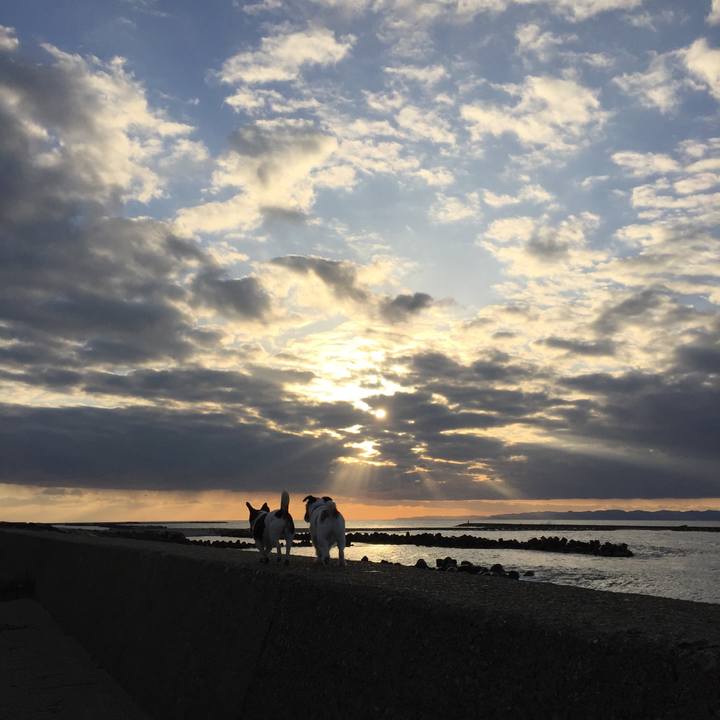 066c7047 7414 4134 a70b 7a1134b9a4cd