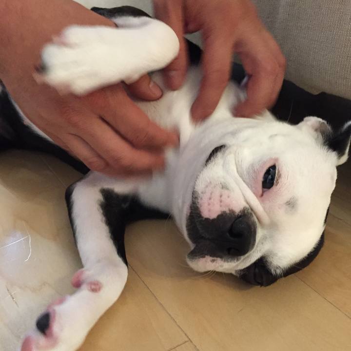 066cb116 a177 49c5 84eb e246add9ae3d