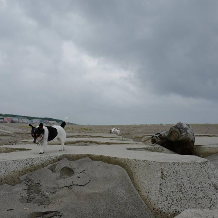 066d4784 dd24 48a0 a18e acd1047ab3c2