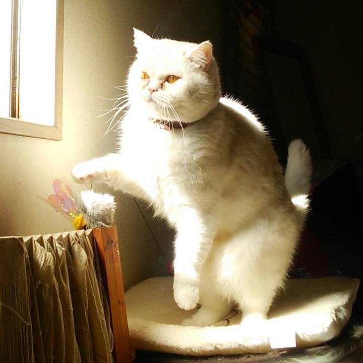 066d5479 9e24 4a18 b8c3 612f521d2fc8