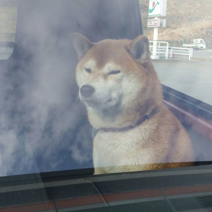 066d736b da9a 43f8 bc31 0bb1222c79cb