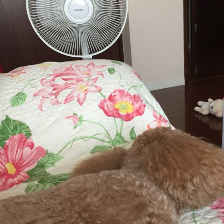 066e0b95 83fd 419d a96b 21a6ff656da1