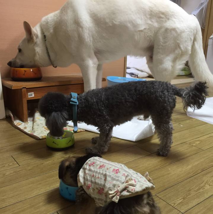 066e3ccb a7b0 42ce 8ade 0262a4d4c815