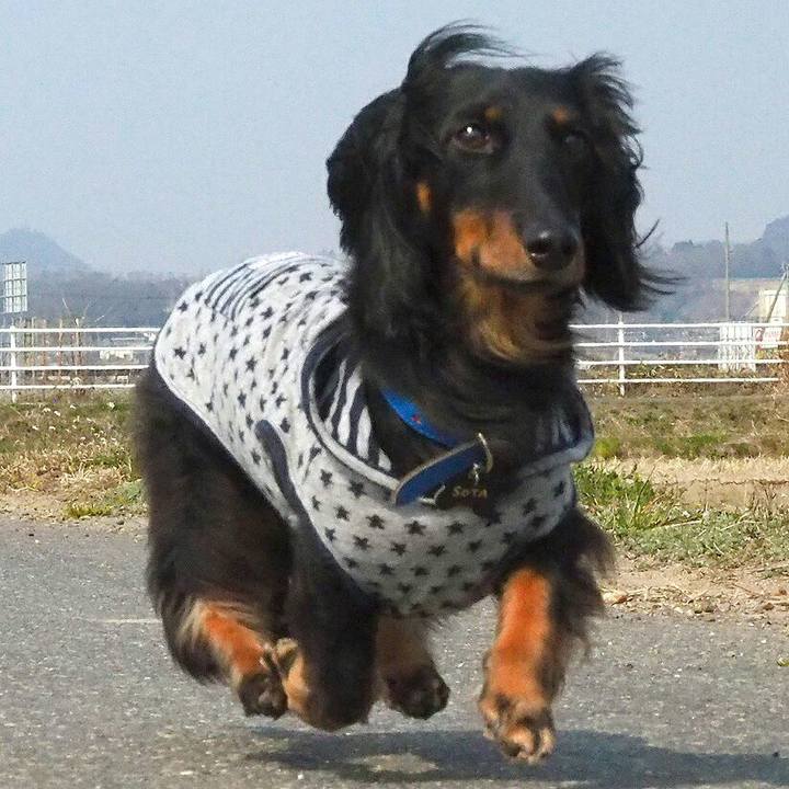 066ea342 b35e 49aa abb2 40aaf2811cfd