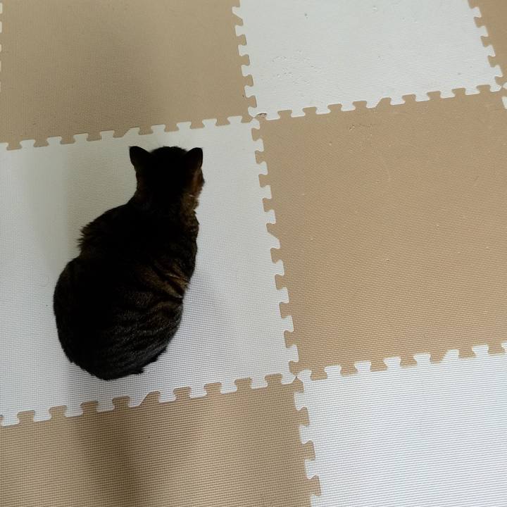 066f3dcd 8e94 4b32 affb c4d3c40b4171