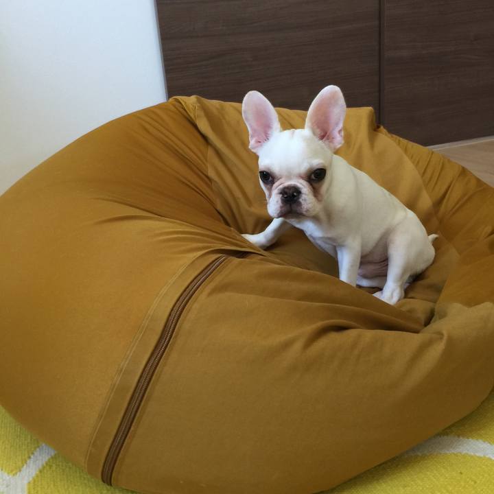 0670a56a 358c 4455 8ea8 4b4cf83653df