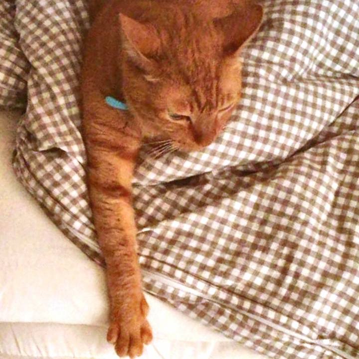 06712af0 3c1b 41ff adbf 71d328ed6885