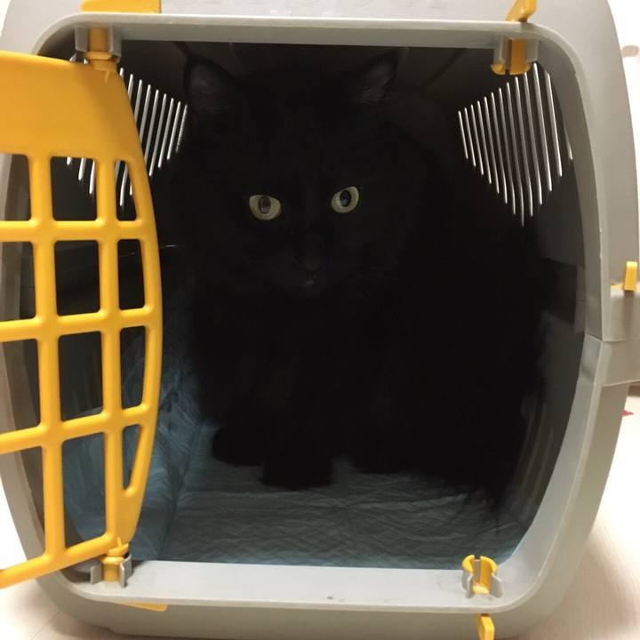 0671c882 9751 481d a813 f0ec6b63d3f8