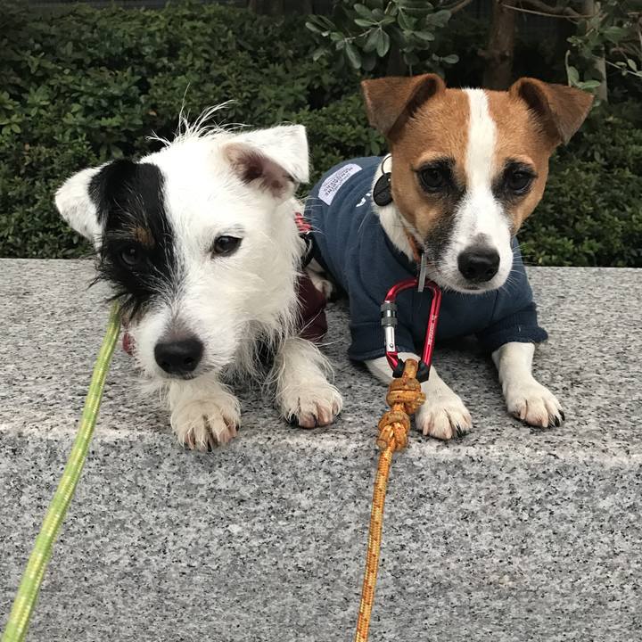 0671d108 e1ba 4426 9a98 87ee142d6e07