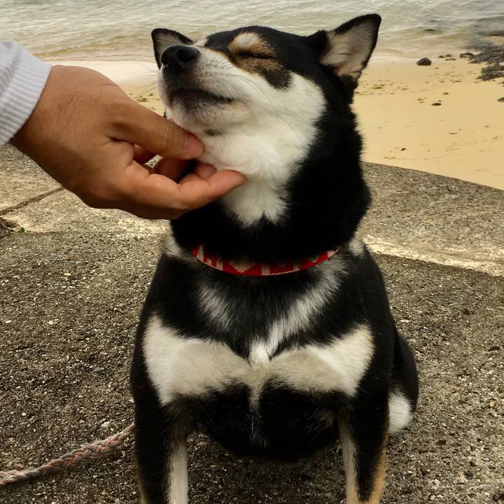 0671f2bb c13e 4d3c bd88 76e7ec08b9a7