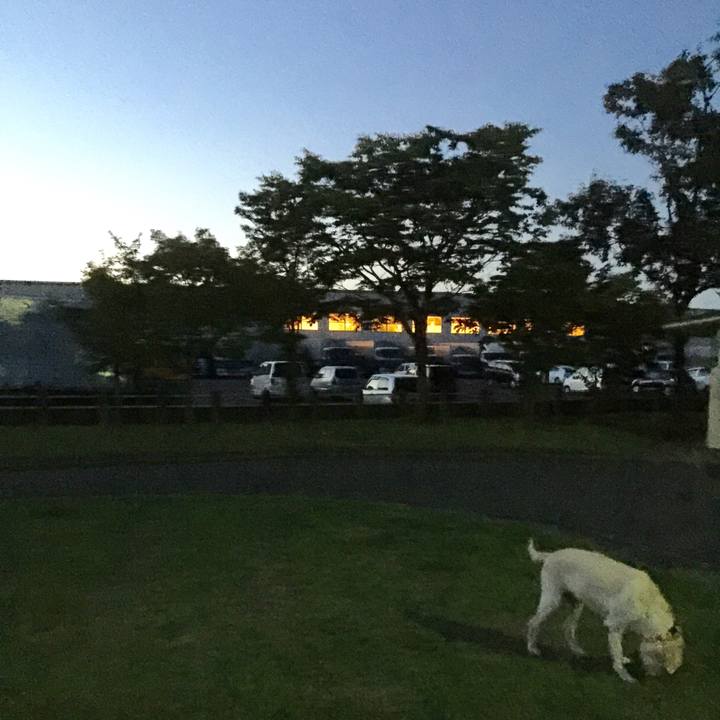 06745007 1ca8 496c af24 11584b0b3590